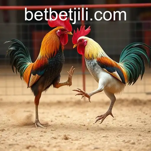 The Evolution of Online Sabong and the Role of BetJILI Login in Digital Betting